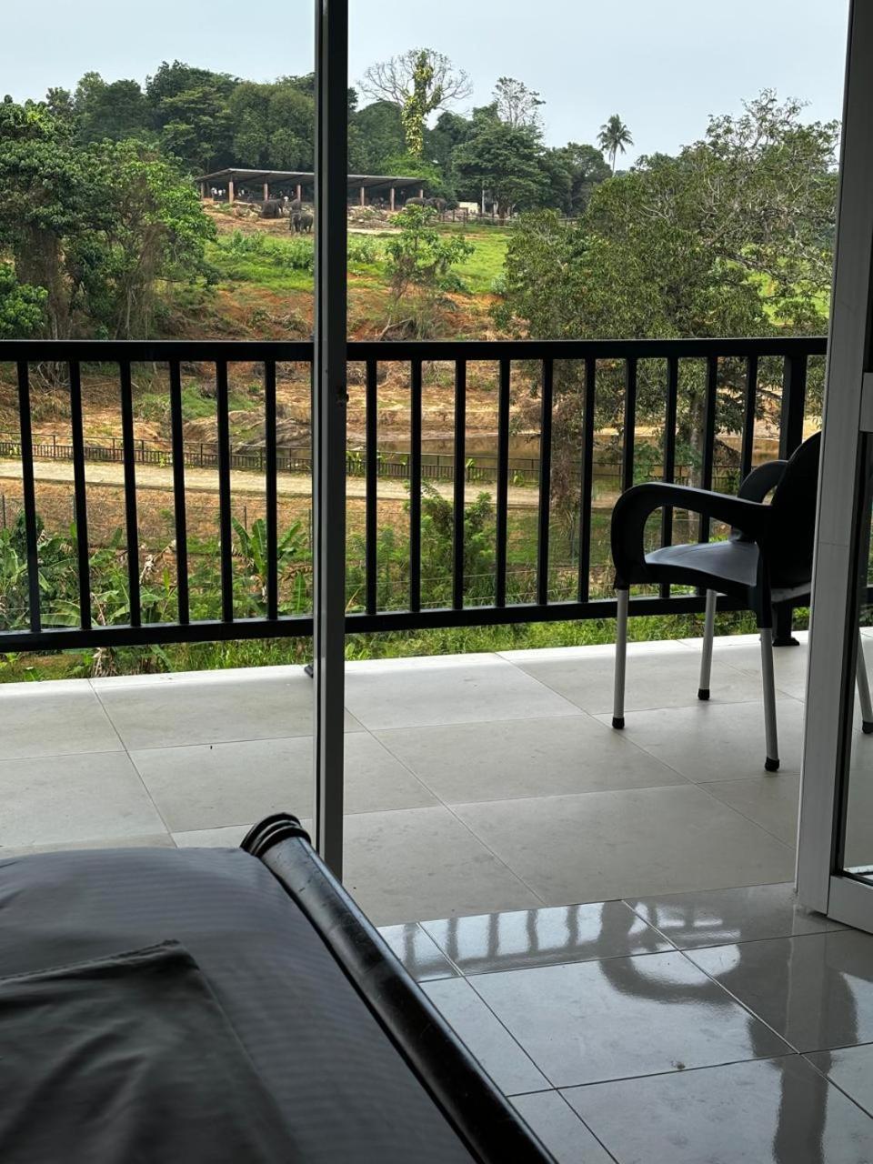 Pinnawala Elephant Front View Hotel Rambukkana エクステリア 写真