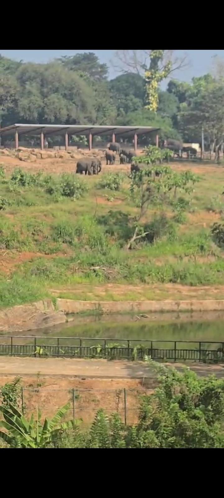 Pinnawala Elephant Front View Hotel Rambukkana エクステリア 写真